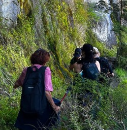 guests hiking through forests Kepler Track GW03MAR26