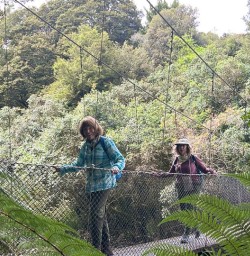 guests hiking west coast tracks GE19JAN26