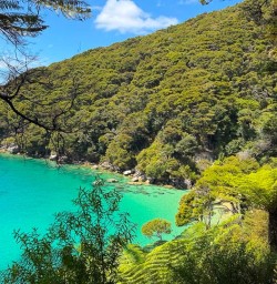 guests in Abel Tasman National Park RM26JAN26