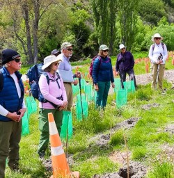 guests in Arrowtown tree planting GE10NOV25