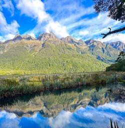 guests in Fiordland National PArk PS16AMR26
