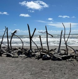 guests in Hokitika MP24NOV25