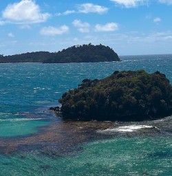 guests in Stewart Island GW27DEC25