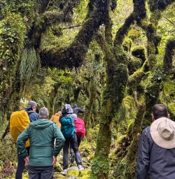 guests in Whanganui National Park GN17NOV25