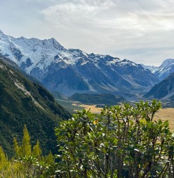guests in aoraki mt cook national park PS06APR26