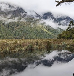 guests in fiordland national park KC10NOV25