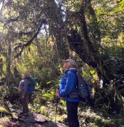 guests in forest Kepler Track MP10NOV25
