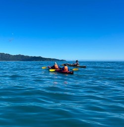 guests kayak Abel Tasman GE03NOV25