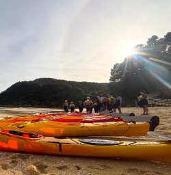 guests kayak Abel Tasman National Park GE02FEb26