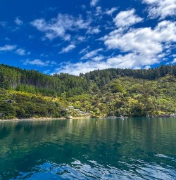 guests kayak in Queen Charlotte Sound RM23FEB26