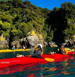 guests kayak tour in Abel Tasman National Park GE09MAR26
