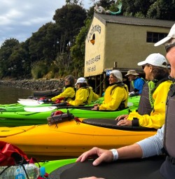 guests kayak trip Queen Charlotte Sound MP02FEB26