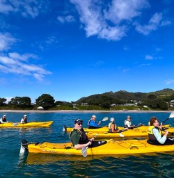 guests kayaking Coromandel SN17FEB26