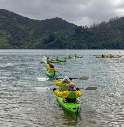 guests kayaking Marlborough Sounds RM03NOV25