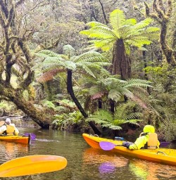 guests kayaking Milford Sound RP02FEB26