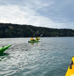guests kayaking Queen Charlotte MP02FEB26