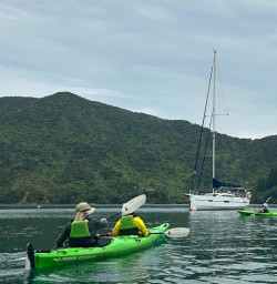 guests kayaking Queen Charlotte Sound MP01DEC25