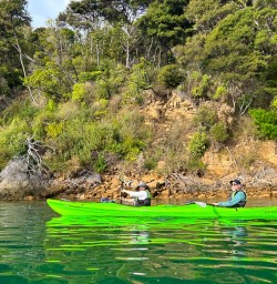 guests kayaking Queen Charlotte Sound MP23MAR26