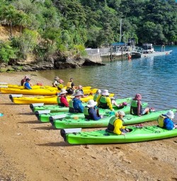 guests kayaking Queen Charlotte Sound MP24NOV25
