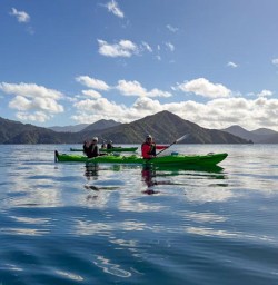 guests kayaking Queen Charlotte Sound guided MP23FEB26