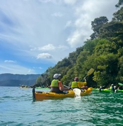 guests kayaking Queen Charlotte Sound guided tour RM09FEB26
