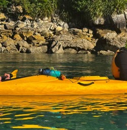 guests kayaking in Abel Tasman National Park GE16MAR27