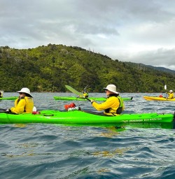 guests kayaking in Queen Charlotte Sound MP09FEB26