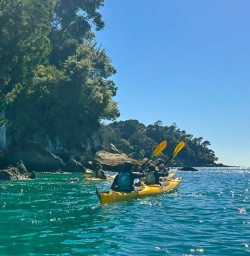 guests kayaking in Queen Charlotte Sound MP09MAR26