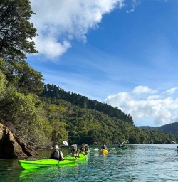 guests kayaking in Queen Charlotte Sound guided MP16FEB26