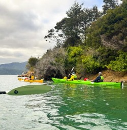 guests kayaking in queen charlotte sound MP16MAR26