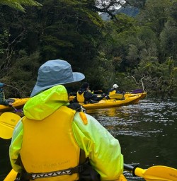 guests kayaking on Milford Sound PS27OCT25