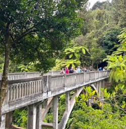 guests on Bridge to Nowhere Whanganui River GN23FEB26