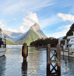 guests on Milford Sound Cruise PS09MAR26