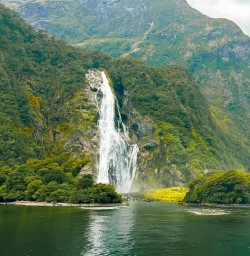 guests on Milford Sound Cruise PS16MAR26
