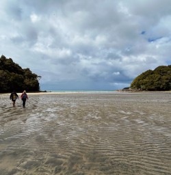 guests on beach in Stewart Island GW09DEC25