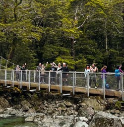 guests on bridge on Routeburn Track GW27DEC25