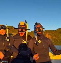 guests on dolphin swim in kaikoura MP02FEB26