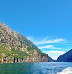 guests on milford sound cruise PS02MAr26