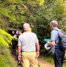 guests on the Karangahake Window Walk SN24FEB26