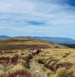 guests on the Kepler Track guided Hike GW04NOV25