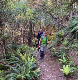 guests on the Nydia Track group hike KC03NOV25