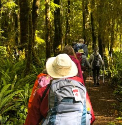 guests on the kepler track GE30MAR26