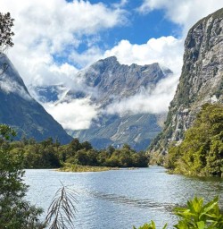 guests on the milford track GW17FEB26