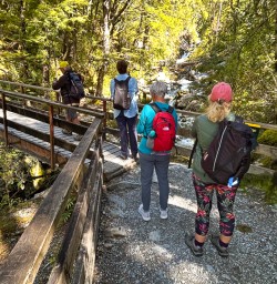 guests on the routeburn track GW09DEC25