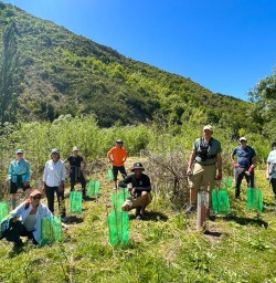 guests plant trees in Arrowtown GE08DEC25