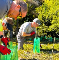 guests plant trees in Arrowtown PS16MAR27