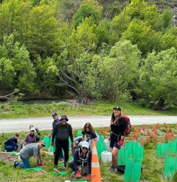 guests planting trees in Arrowtown GE03NOV25