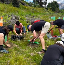 guests planting trees in Arrowtown GE24NOV25