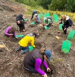 guests planting trees in Arrowtown KC22DEC25
