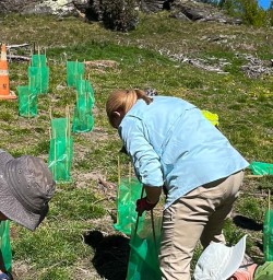 guests planting trees in Arrowtown MP03NOV25